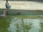 SN3D13780002.jpg