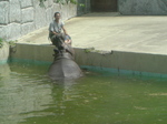 SN3D13750001.jpg