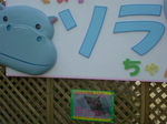 SN3D13800001.jpg