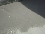SN3D09590001.jpg